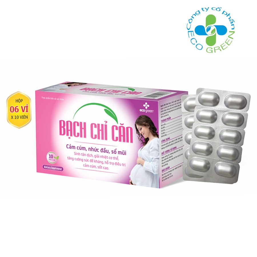 BẠCH CHỈ CĂN